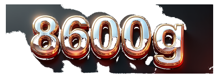 8600g logo